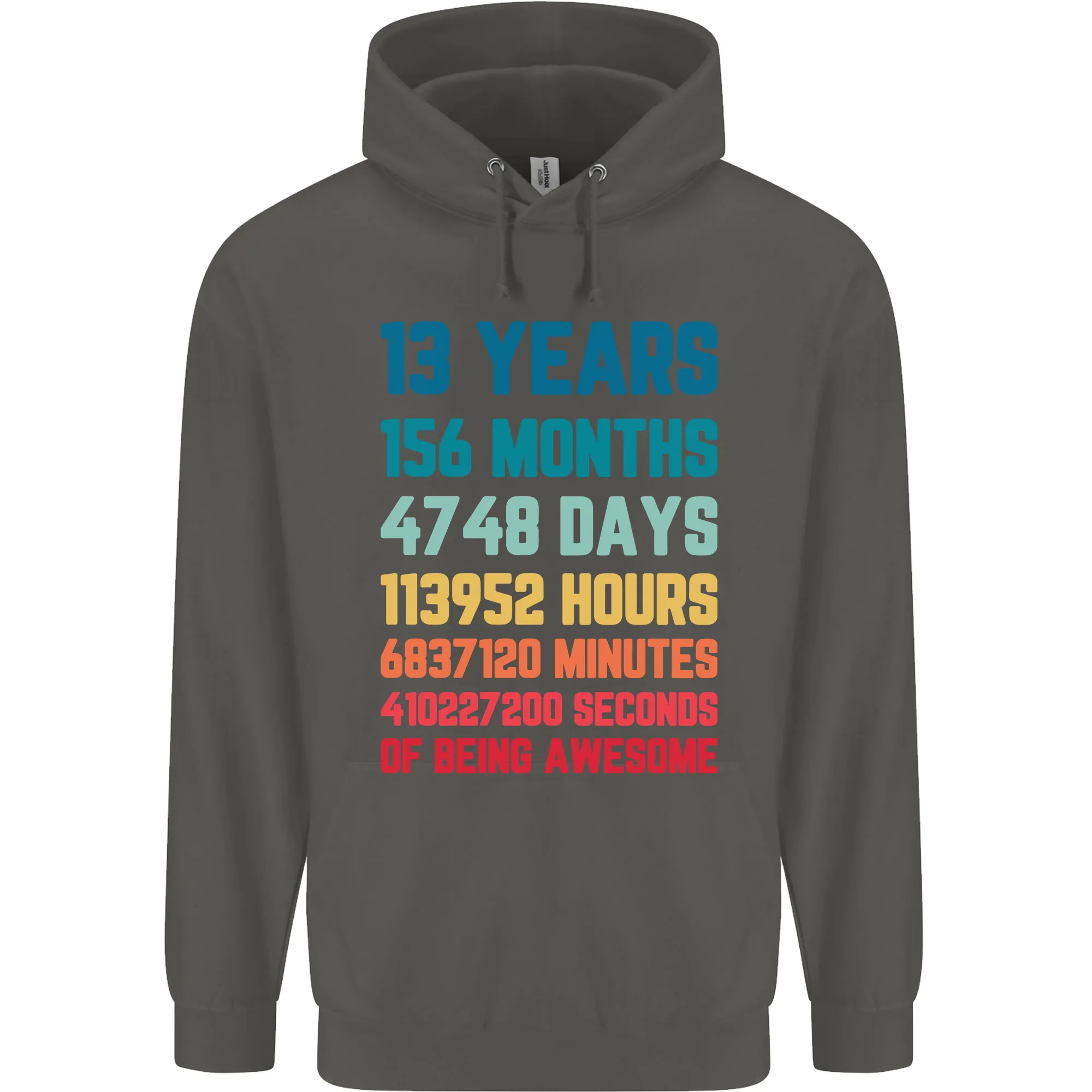 13th Birthday 13 Year Old Childrens Kids Hoodie