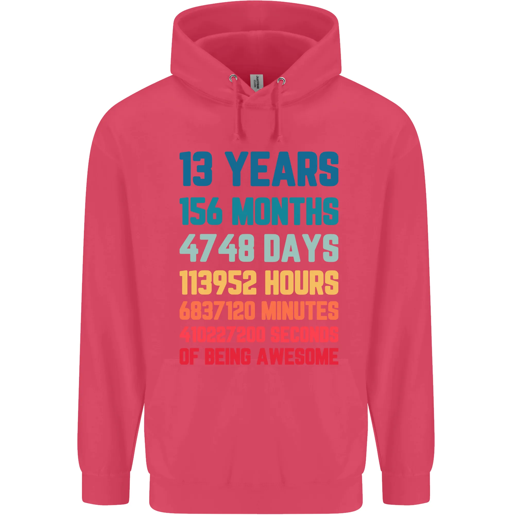 13th Birthday 13 Year Old Childrens Kids Hoodie