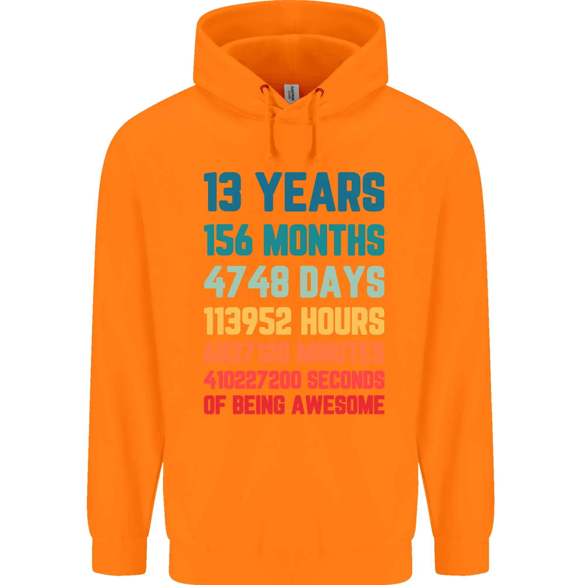 13th Birthday 13 Year Old Childrens Kids Hoodie