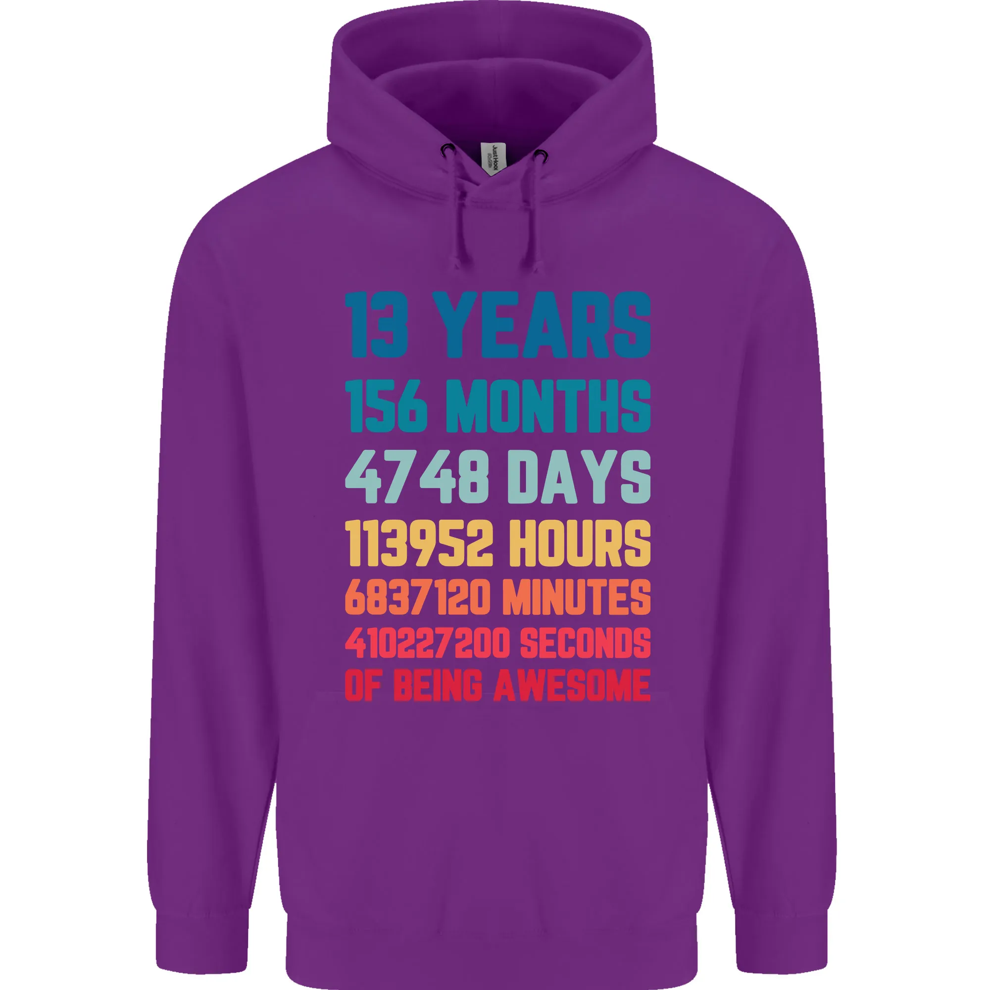 13th Birthday 13 Year Old Childrens Kids Hoodie