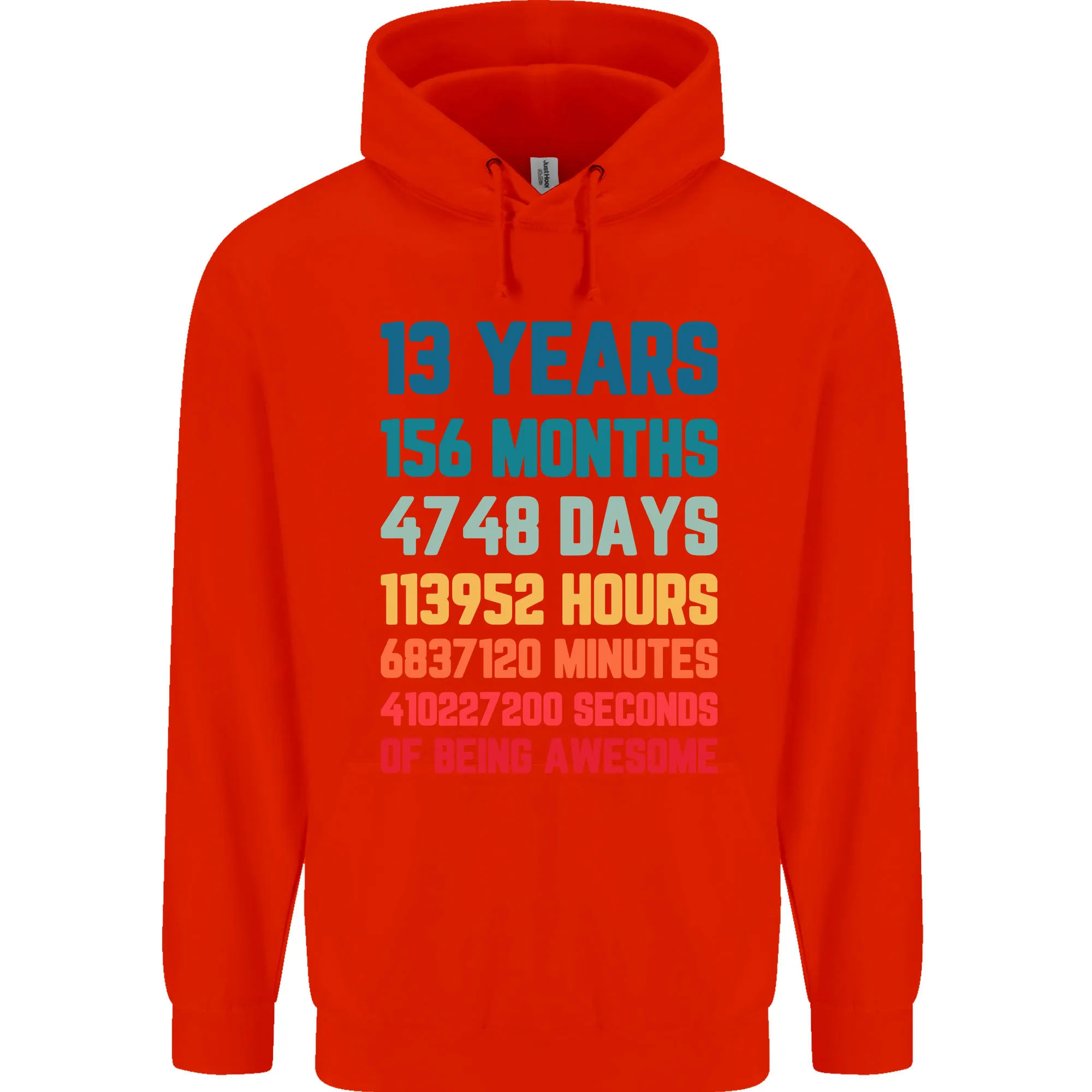 13th Birthday 13 Year Old Childrens Kids Hoodie