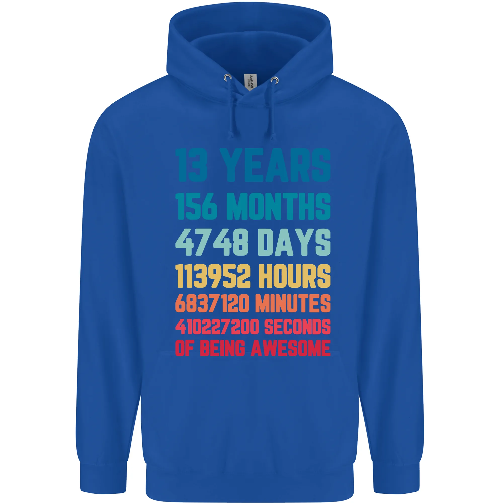 13th Birthday 13 Year Old Childrens Kids Hoodie