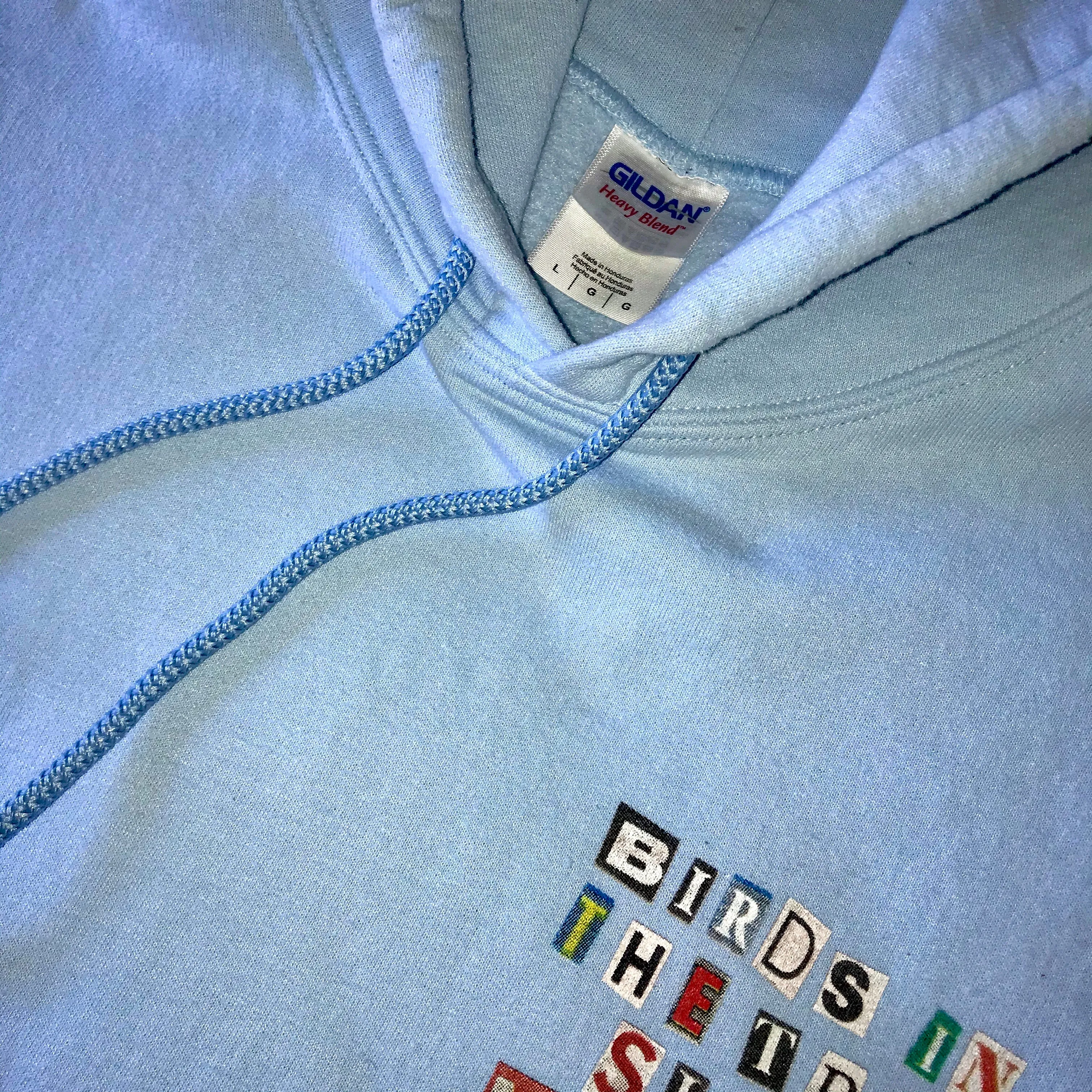 Birds Album Drop Hoodie (Light Blue)