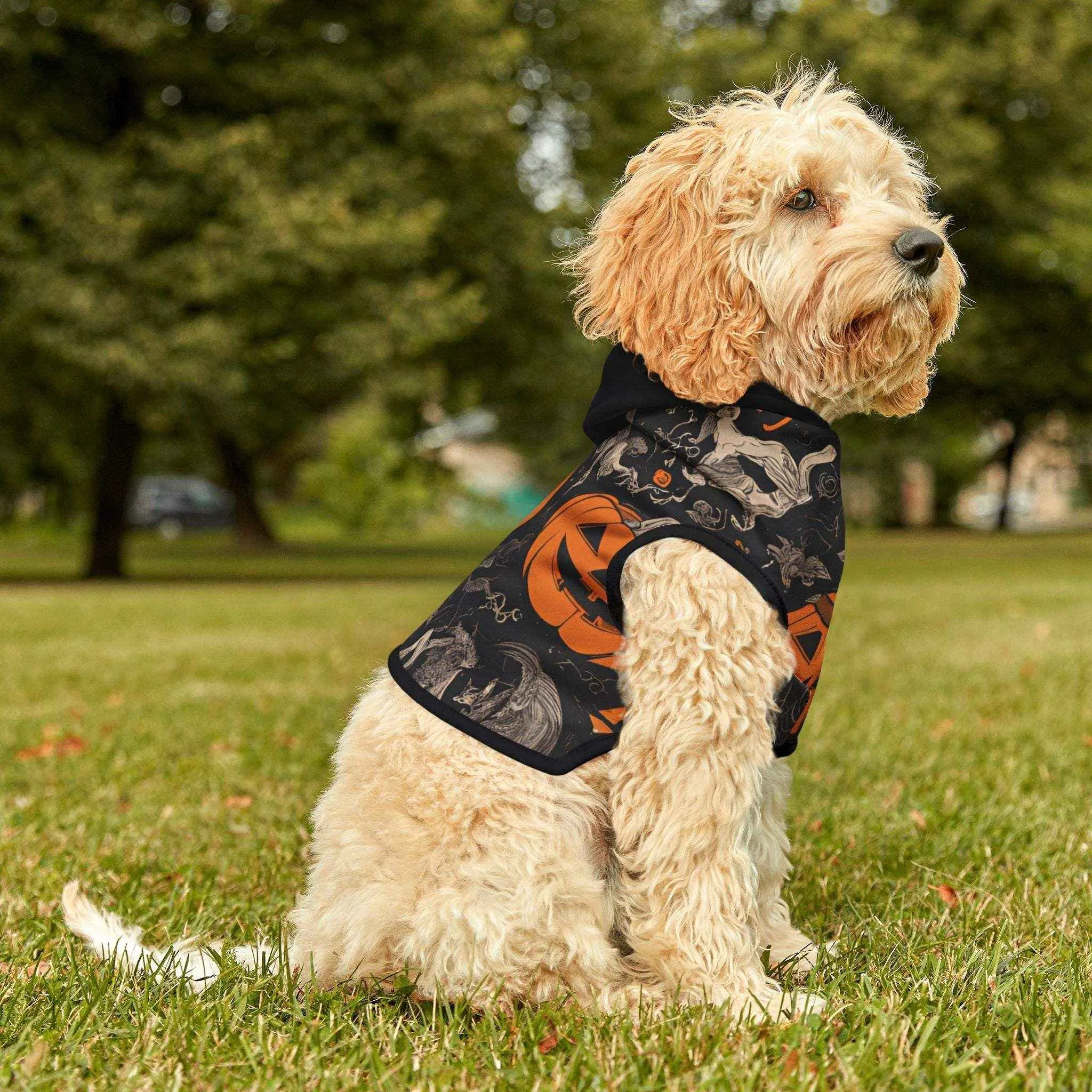 Boo! Halloween Black Pet Hoodie