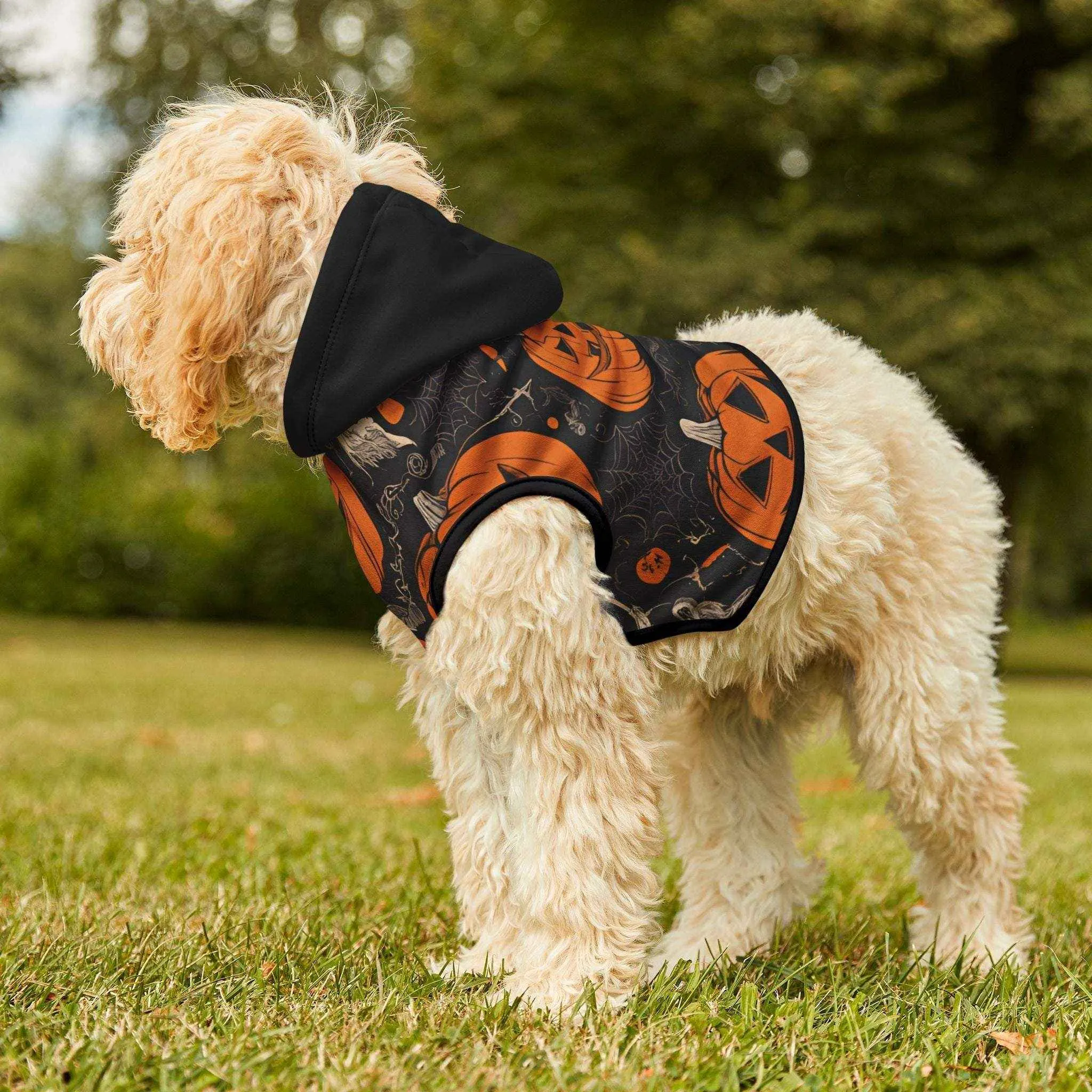 Boo! Halloween Black Pet Hoodie