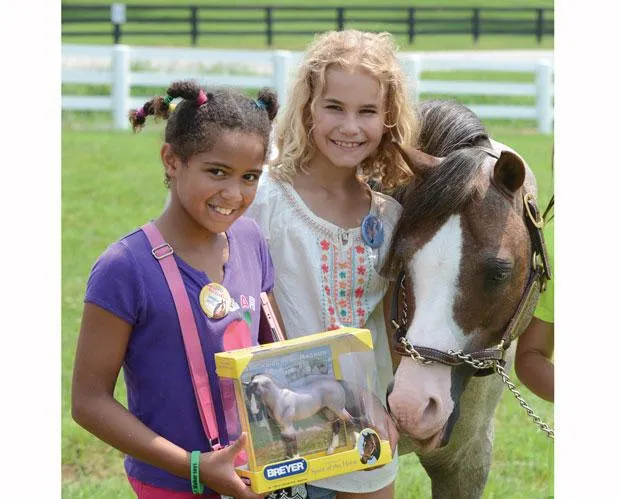 Breyer Horse Brookside Pink Magnum