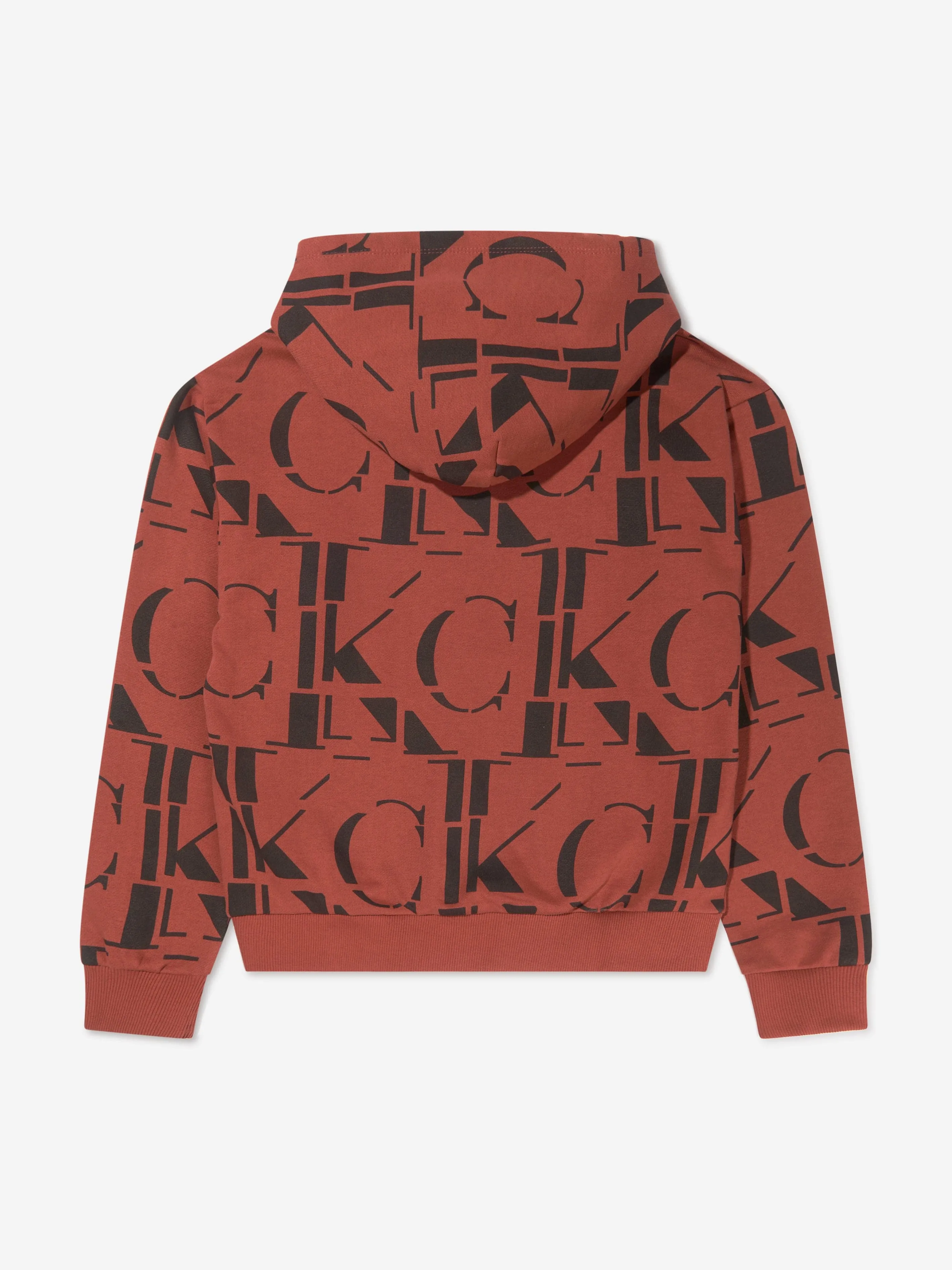 Calvin Klein Boys Block Monogram Logo Hoodie