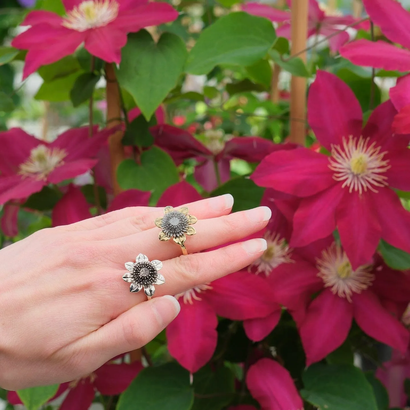 Clematis Empress Ring