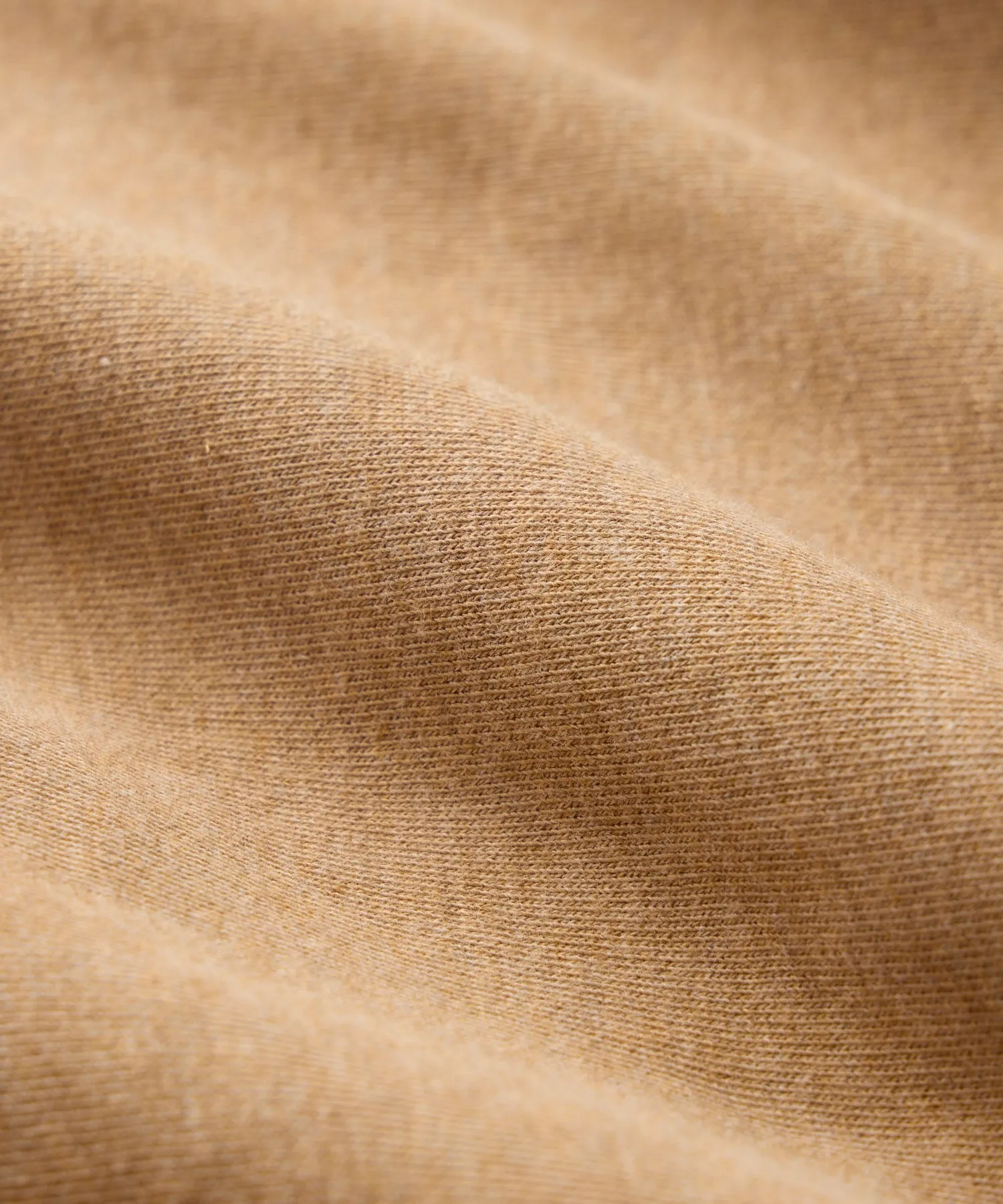 Cotton-Camelhair Fleece Hoodie in Camel