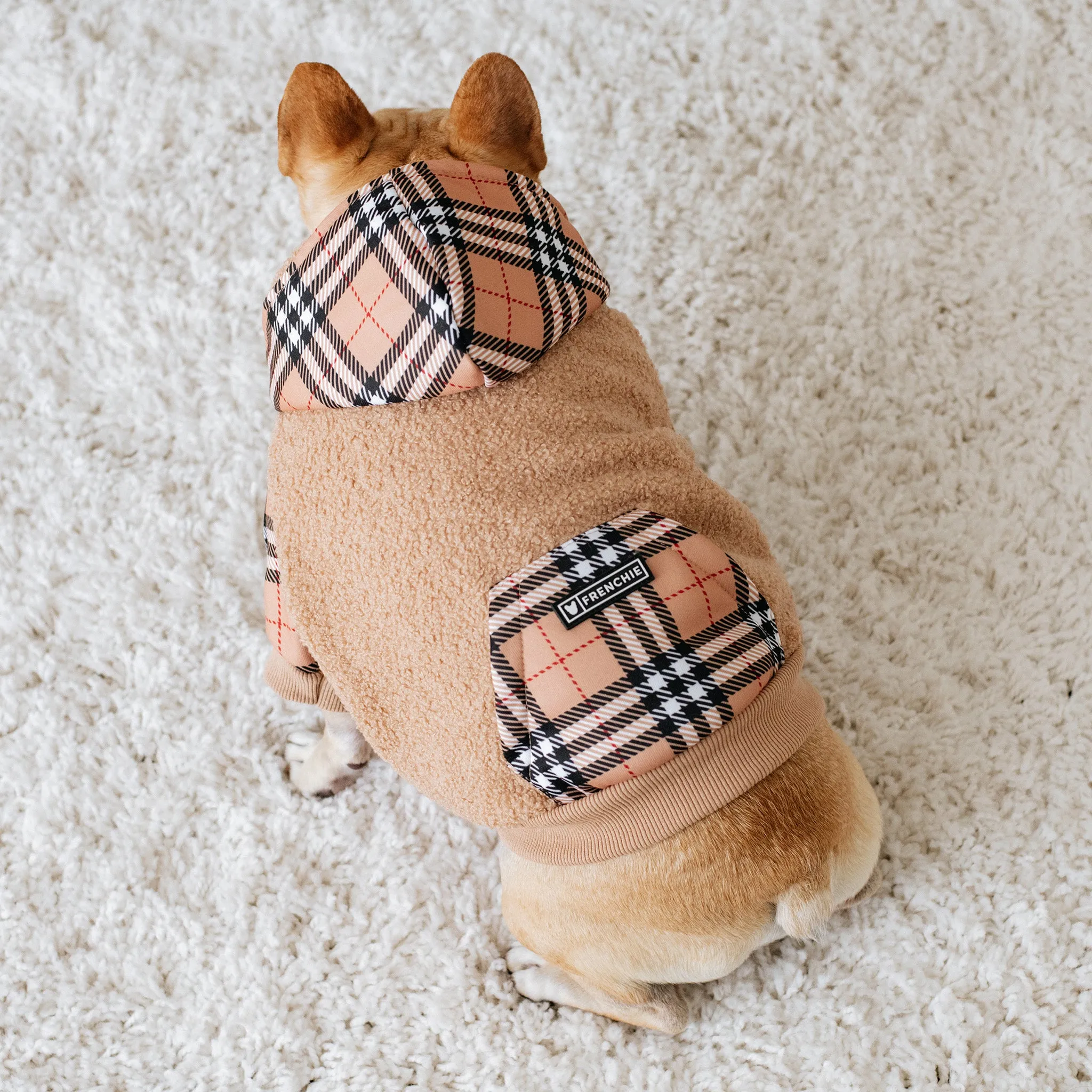 Frenchie Dog Hoodie - Tan Tartan