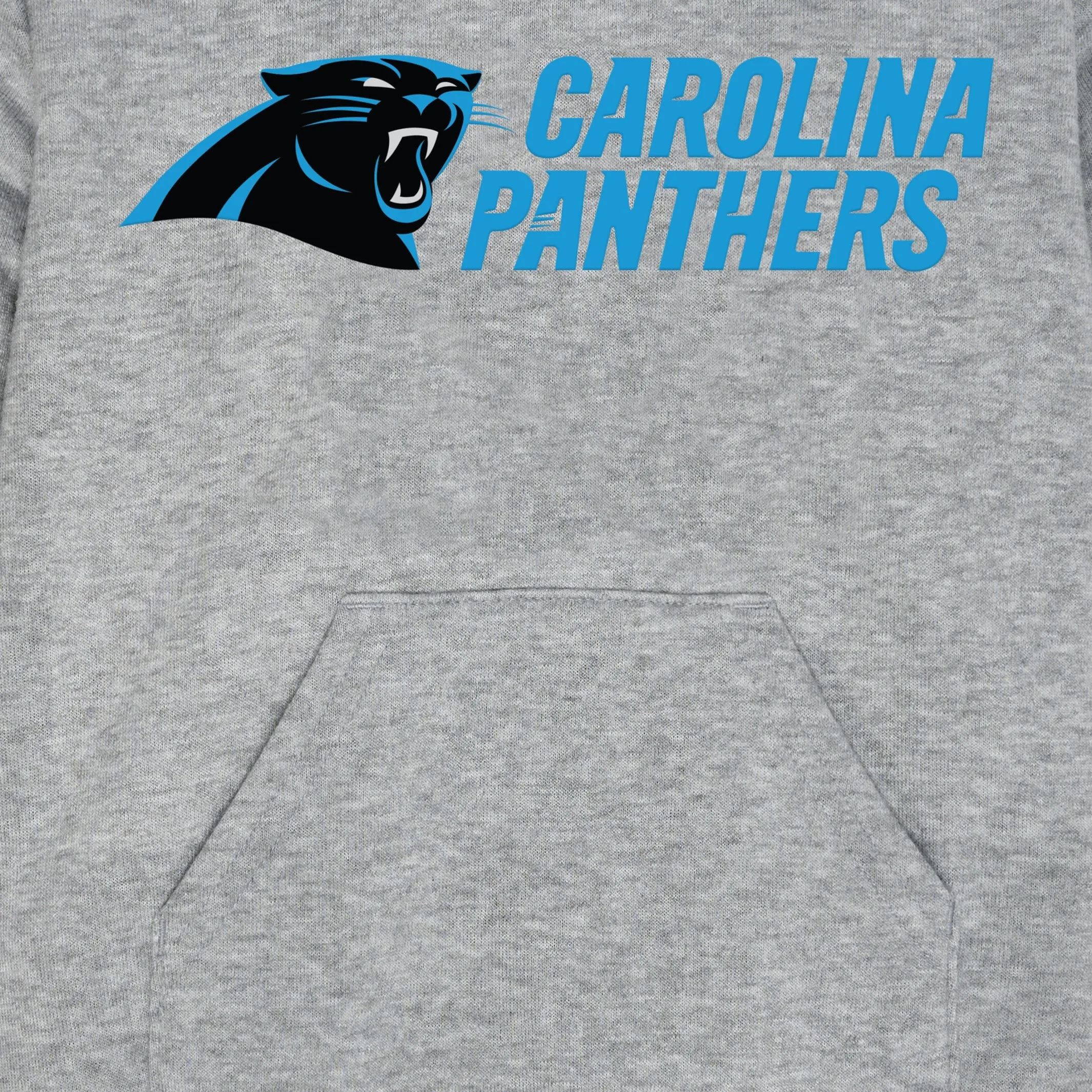 Infant & Toddler Boys Panthers Hoodie