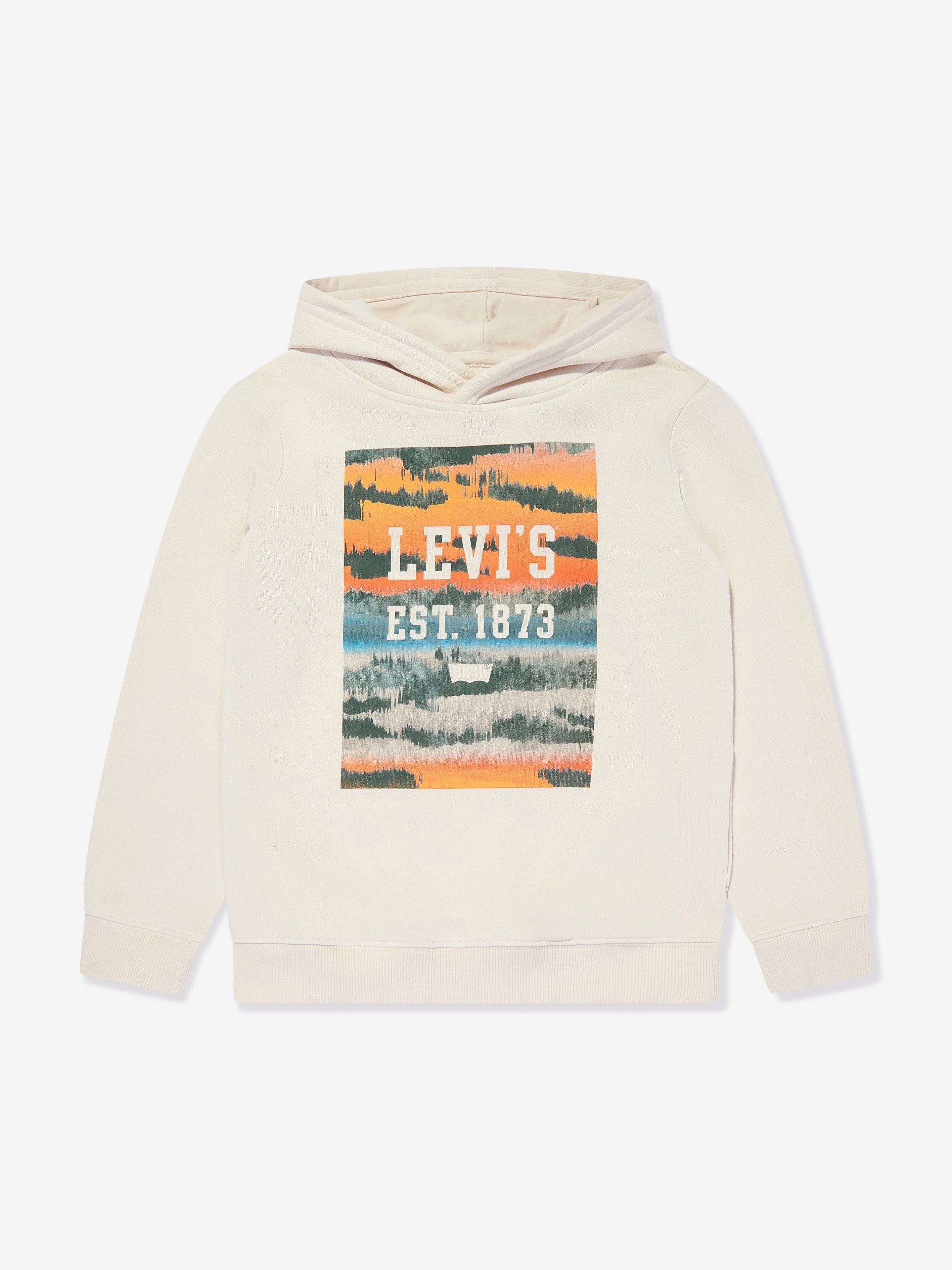 Levi's Boys Landscape Box Hoodie in Beige