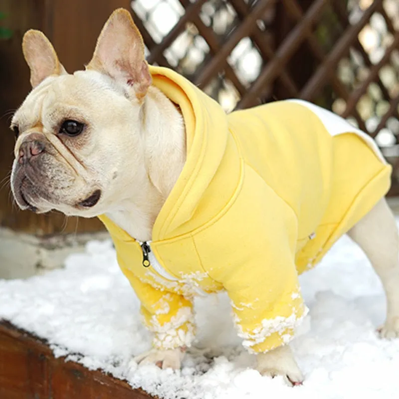 Plain Color Hoodie Coat With Pocket Dog Zip Up Jacket