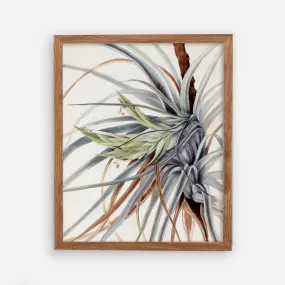 Printed Plant Vintage Kitchen Wall Art