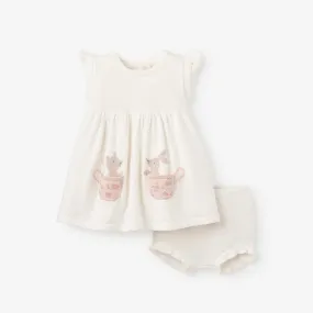 Tea Party Flutter Sleeve Knit Baby Dress