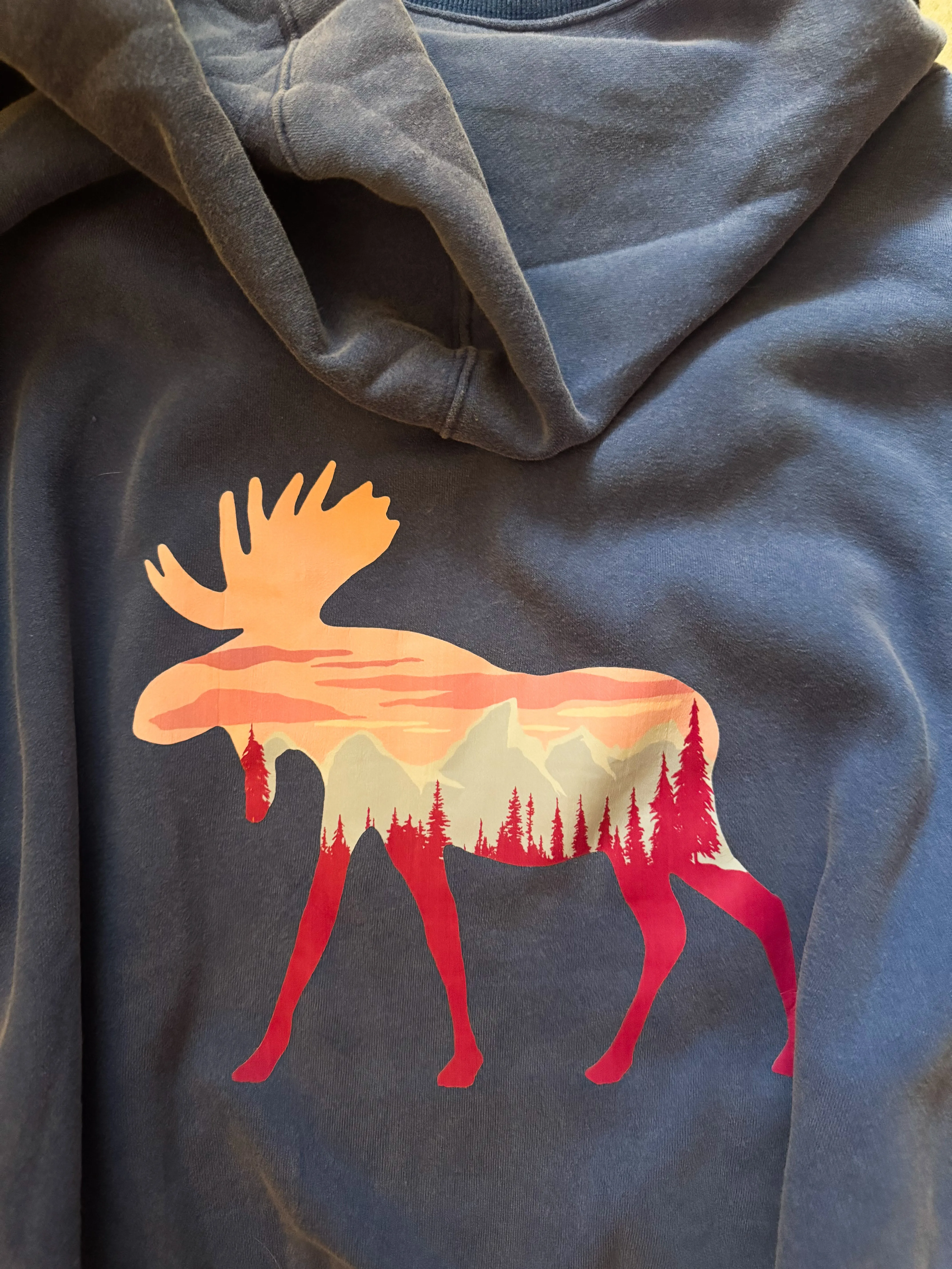 Teton Moose Half Zip Hoodie